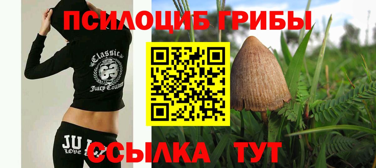 Ликино-Дулёво  Галлюциногенные грибы Cubensis  Галлюциногенные грибы Psilocybine cubensis  Вход с VPN 